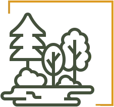 Otoczenie peÅne zieleni